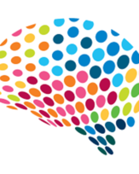 hbi brain logo